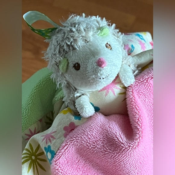 Taggies Hedgehog Lovey Baby Security Blanket - Picture 7 of 13
